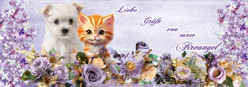 dd9b3252ea8165246c460c62707908cf0460cc02.png