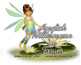 Herz_Wil_Caf_Pla_3: