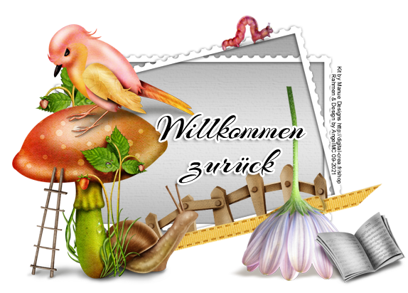 :Bin_wiederda_3: