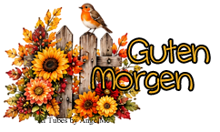 moin_5 moin_5